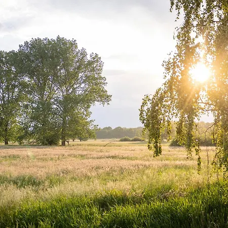 110 Tiny House Mit Traumhaftem Blick Ueber Wiese