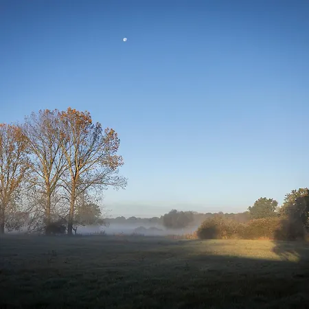 110-elbotinyhouse Mit Wiesenblick *